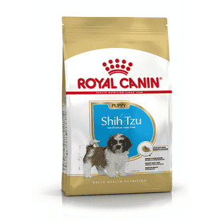Shih Tzu Puppy