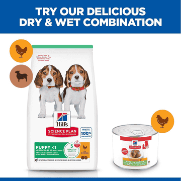 Puppy &amp; Mother Tender Mousse - Can