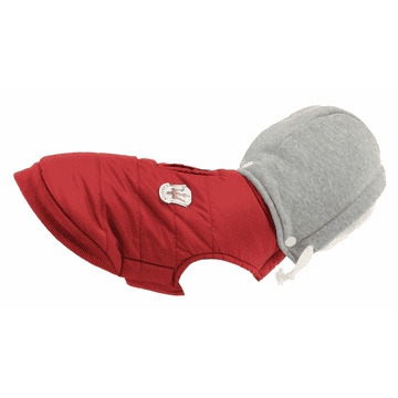 Dog coat jogger