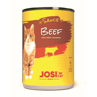 JosiCat Beef in Sauce