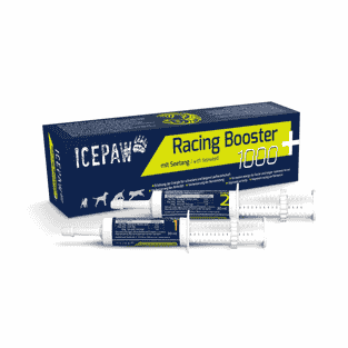 Racing Booster 1000+