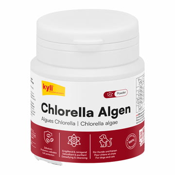 Algues chlorelles