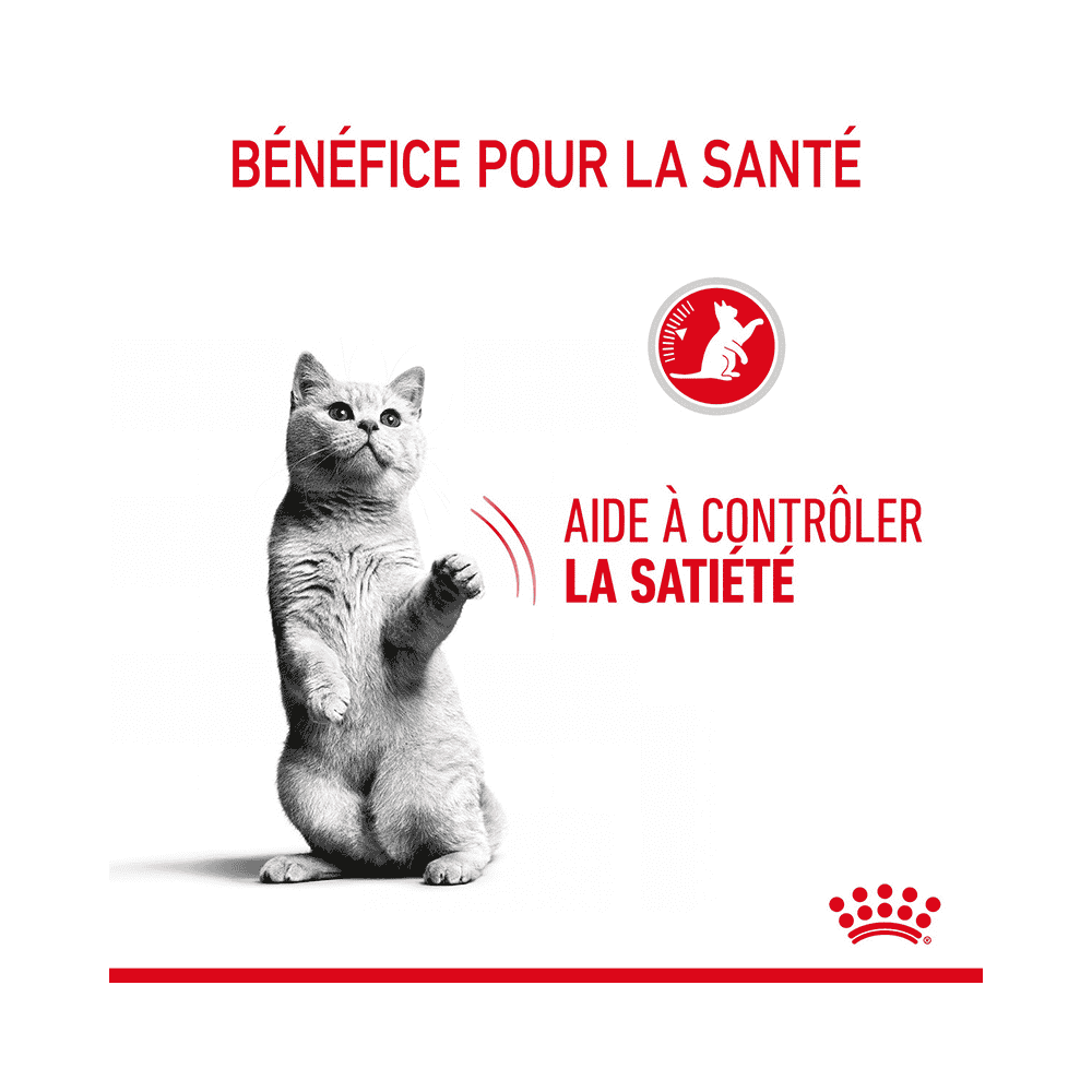 Appetite Control Gravy - Sachet