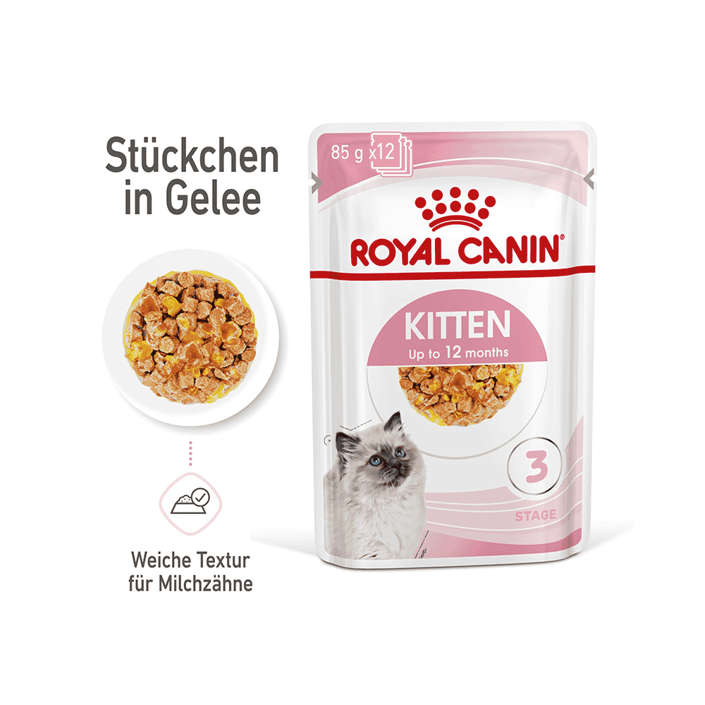 Kitten in Gelée - Frischebeutel
