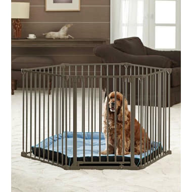 Dog Park De Luxe
