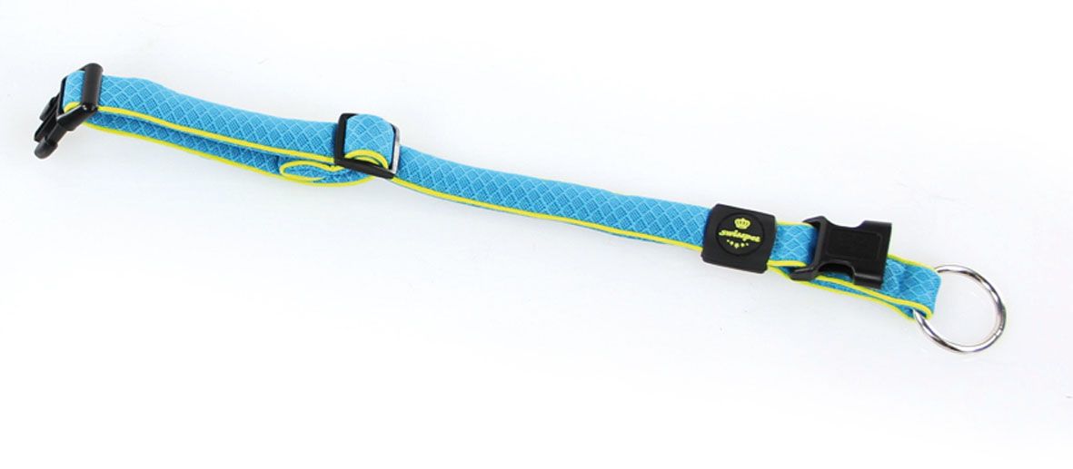 Active Dog Collier