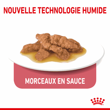 Indoor Sterilised Cat en sauce - sachet