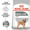 Dental Care Mini