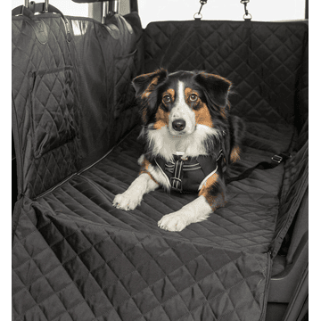 Auto-Schondecke