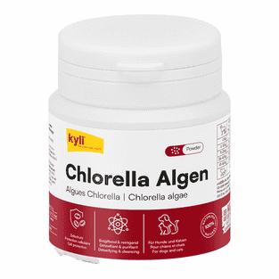 Chlorella Algen