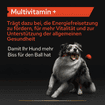 Dog Multivitamins +