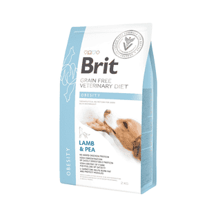 Vet Diet - Dog Obesity