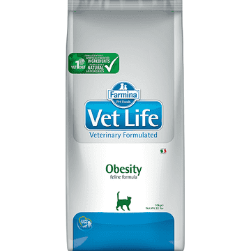 Feline Obesity