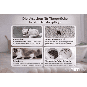 Purificateur d'air pour animaux domestiques D1-SP201-B