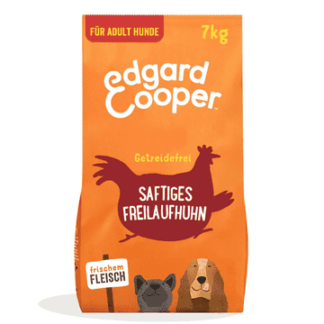 Adult Frisches Huhn