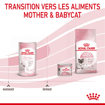Babycat Milk