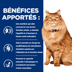 Feline k/d + j/d Kidney + Mobility - Sachet fraîcheur