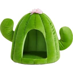 Maison Oasis Cactus