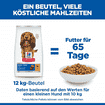 Canine Oral Care Adult