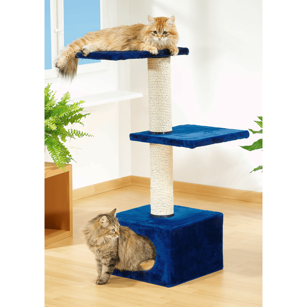 Quasimo cat scratcher
