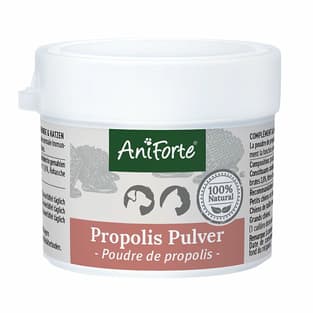 Propolis Pulver