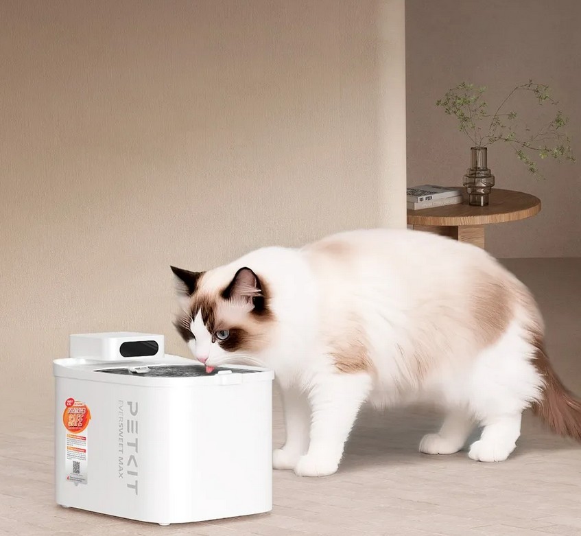 Eversweet Max 2 Drinking Fountain