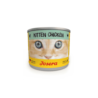 Kitten wet food Can