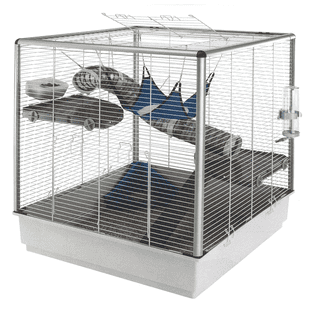 Rattenheim Furet XL