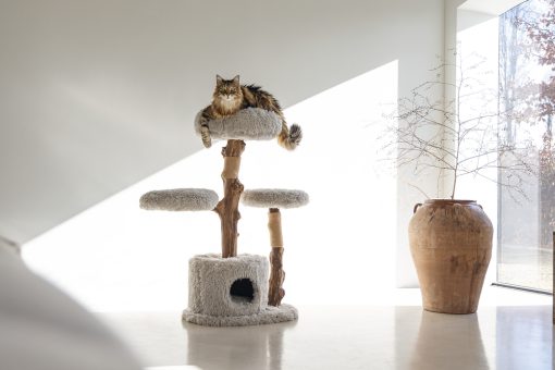 Arbre à chat en bois Ziza