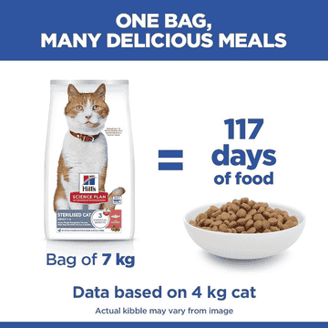 Feline Sterilized Cat Salmon