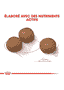 Medium Digestive Care
