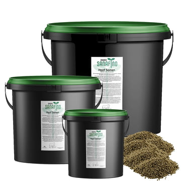 Organic hemp seeds