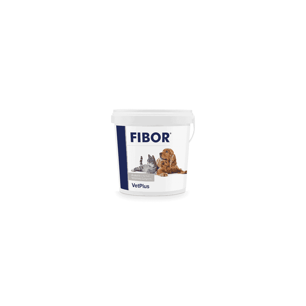 Fibor