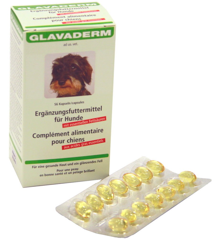 Glavaderm pour chiens