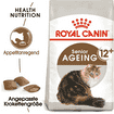Ageing 12+
