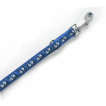 DoggyLine lead, 20 mm / 180 cm, blue