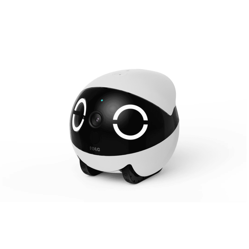 ROLA Mini Companion Robot