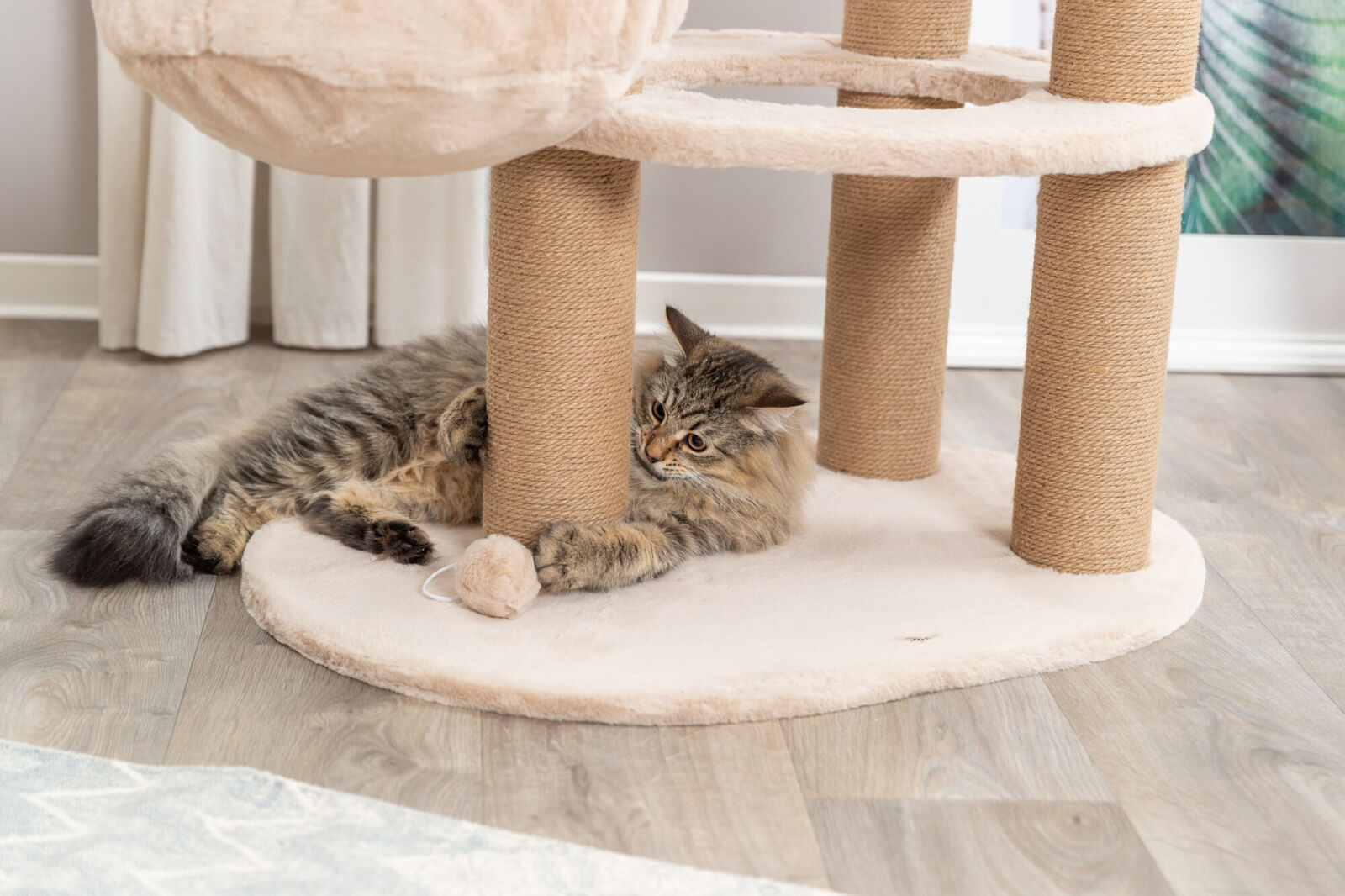 Arbre à chat Boho Filippo