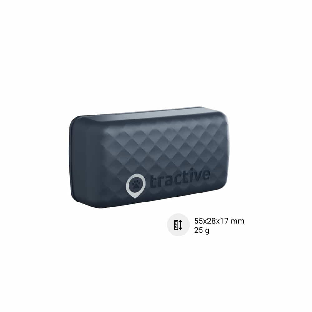 GPS Tracker für Katzen