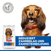 Canine Oral Care Adult