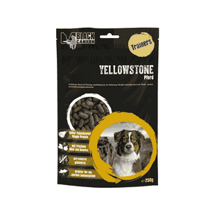 Trainers Yellowstone Pferd