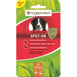 bogaprotect Spot-On antiparasitaire chien