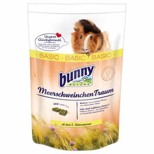 Meerschweinchen Traum BASIC