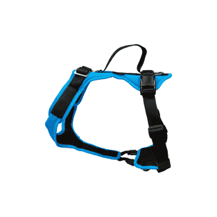 Harnais Vary, turquoise