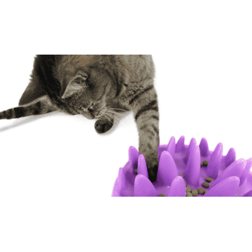Green Slow Cat Feeder