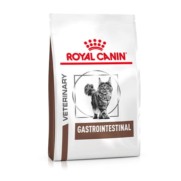 Gastrointestinal Cat