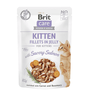 Care Cat - Fillets Kitten in Jelly with Salmon