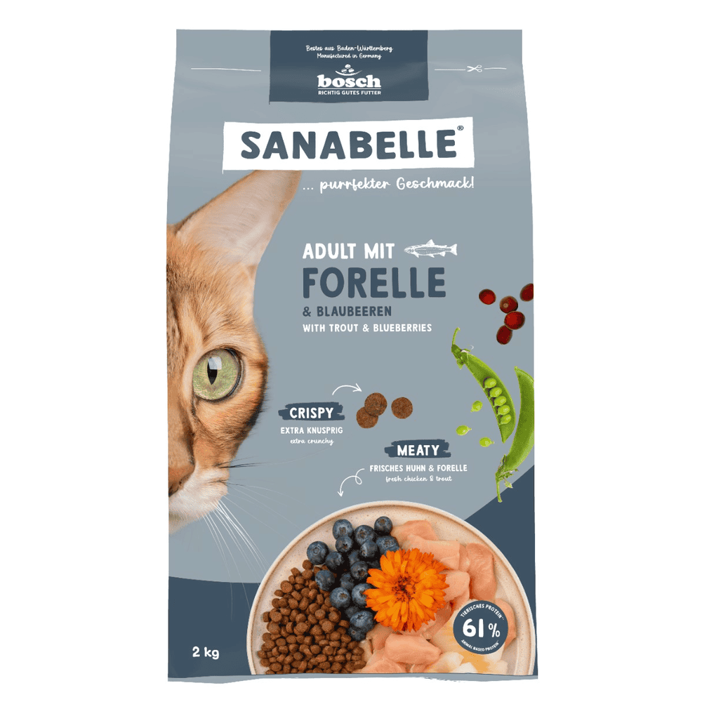 Adult Forelle
