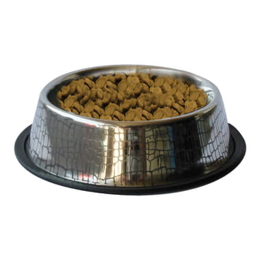 Écuelles en acier inox avec motif croco
