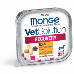 Recovery Dog in Schalen